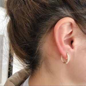 NEW Small Zircon Hoop Earrings